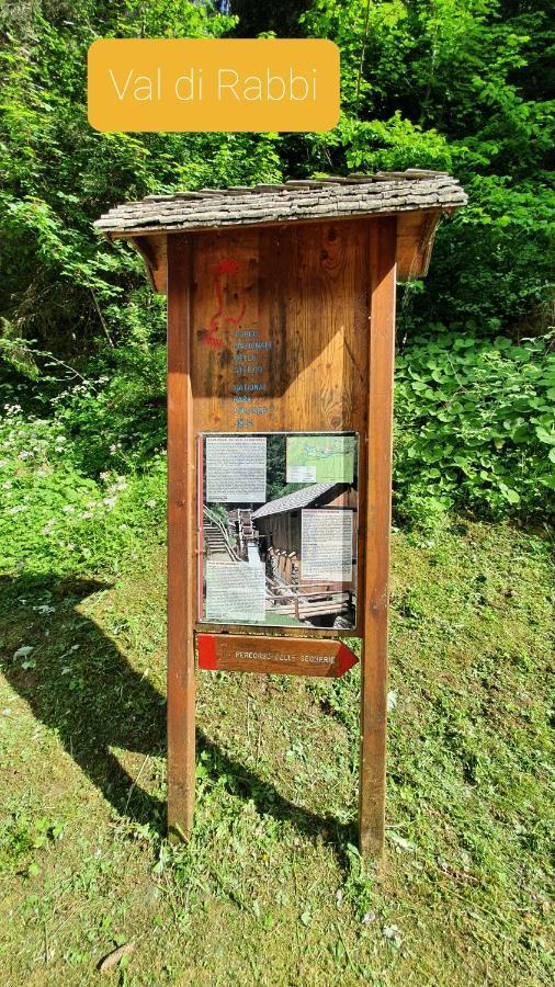 Marmot Apartment Dimaro Exterior foto