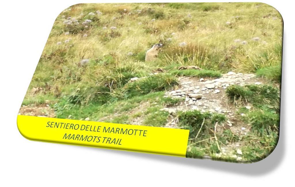 Marmot Apartment Dimaro Exterior foto