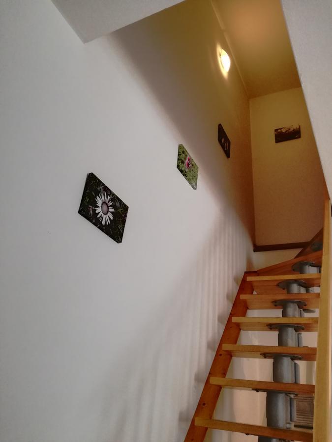 Marmot Apartment Dimaro Exterior foto